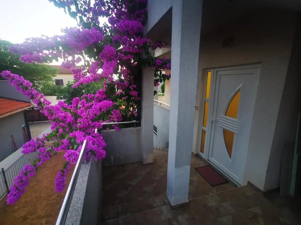 Apartman Filip 1 Pula Apartment Croatia